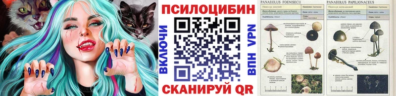 хочу   Балашов  Галлюциногенные грибы Psilocybine cubensis 